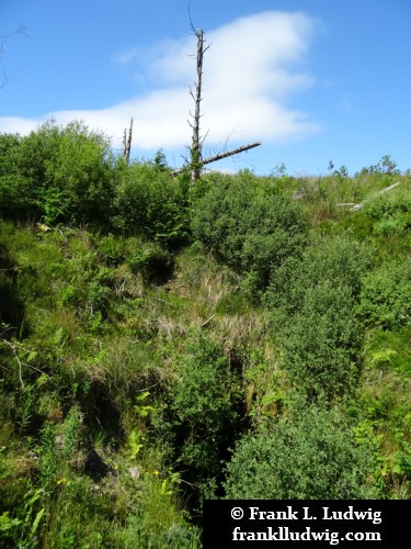 Cavan Burren